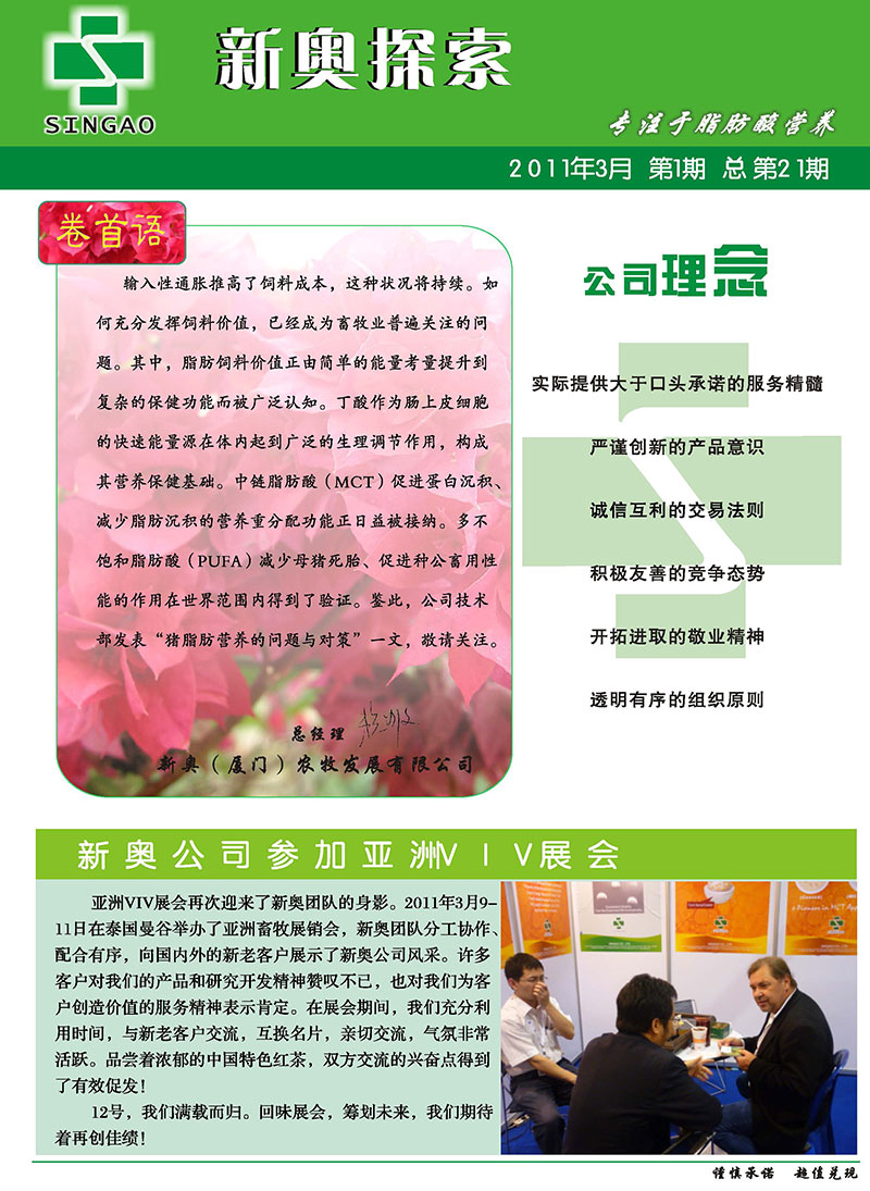 2025新澳正版今晚资料与2025年正版资料免费大全,全面释义、解释与落实与警惕虚假宣传